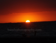 sunrise46