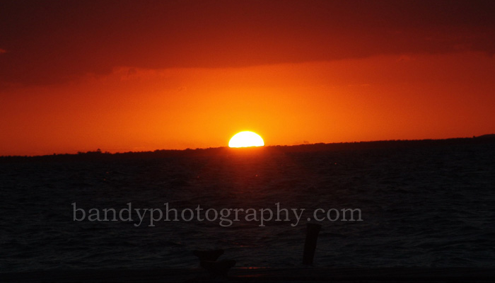 sunrise46