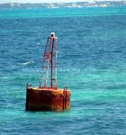 Bou bobin Item MEXw.#012