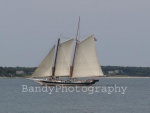 Sailing Away - Item# 692w