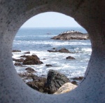 Looking to the ocean ls9w.jpg